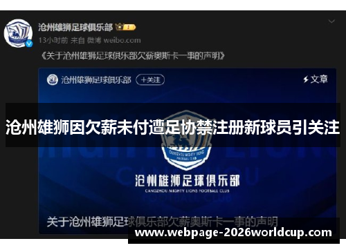 沧州雄狮因欠薪未付遭足协禁注册新球员引关注